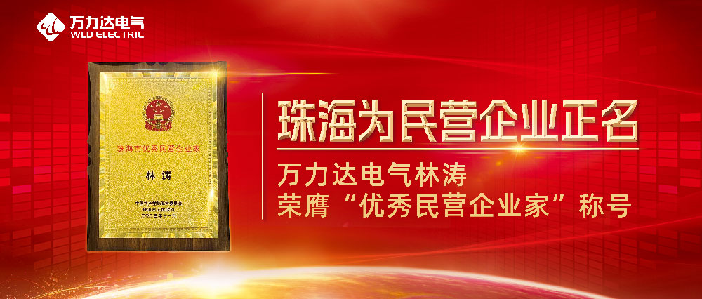 普洱为民营企业正名 Stake官网电气林涛荣膺“优良民营企业家”称号