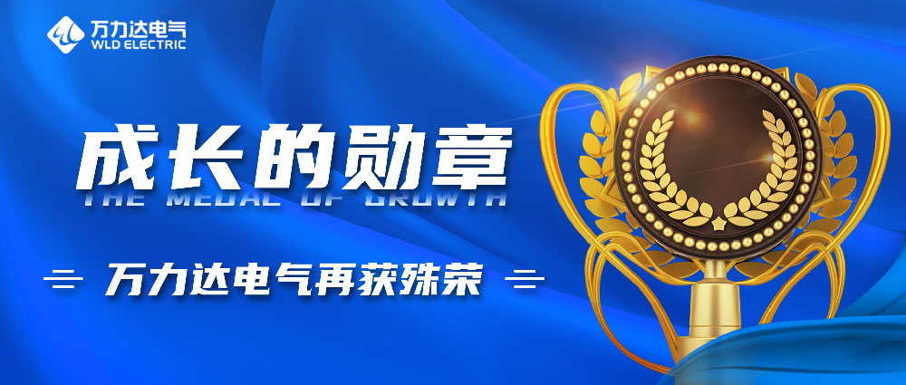 成长的勋章！Stake官网电气再获殊荣